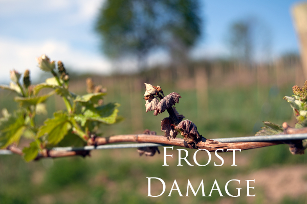 frostDamage